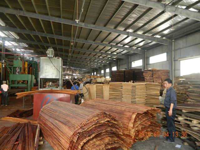 竹加工新篇章 綠色創(chuàng)新與可持續(xù)發(fā)展